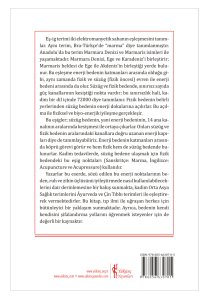 Bedenin Enerji Kapıları